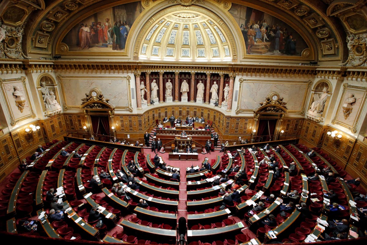 Партия представлена в парламенте страны. Палата пэров во Франции. Сенат Франции. Законодательная власть Португалии. Парижский парламент.