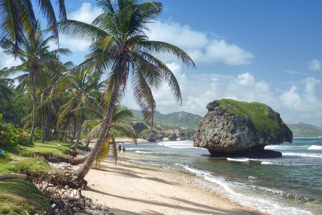 <p>Bathsheba in Barbados, just one of the country’s offering remote working opportunities </p>