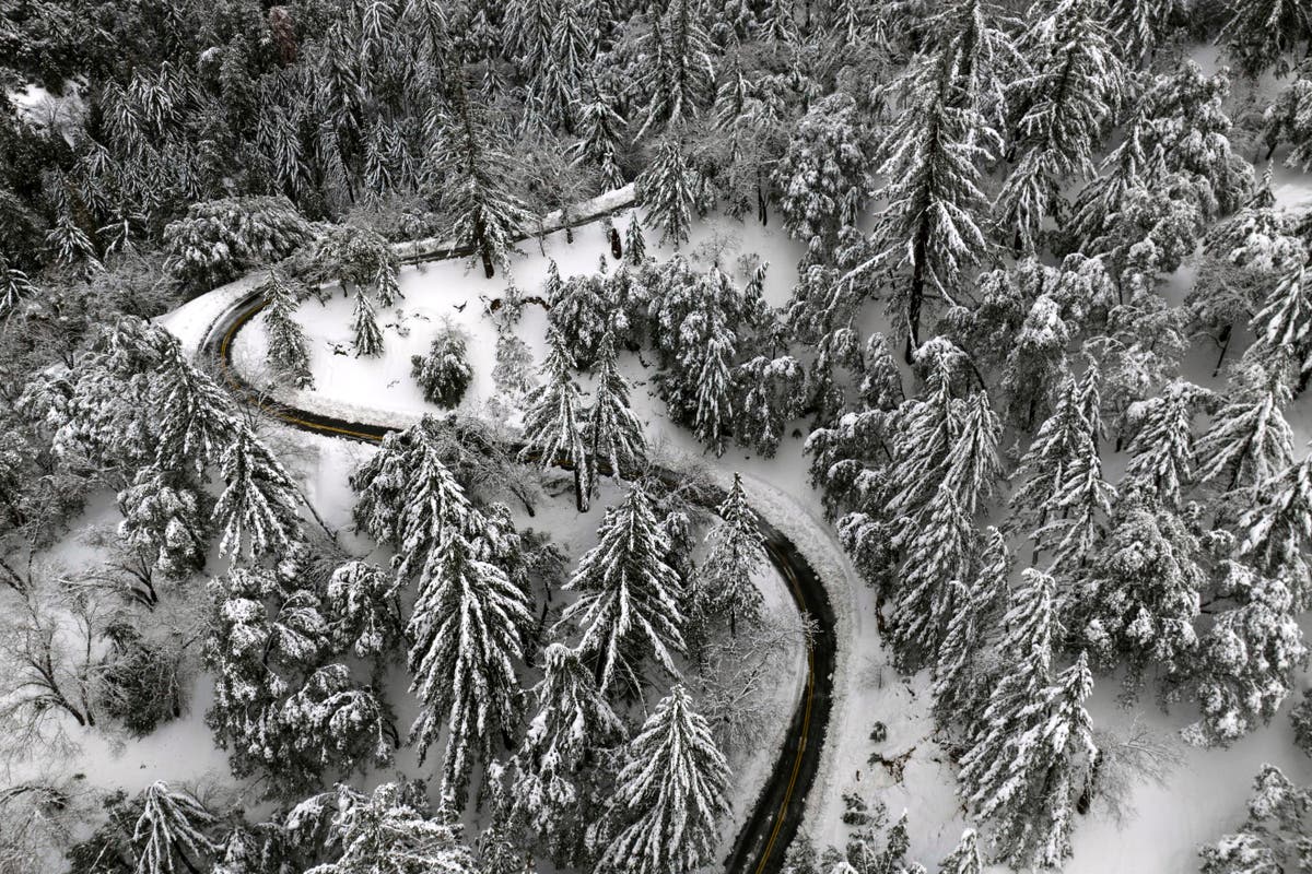 Half of California freed from drought thanks to rain, snow