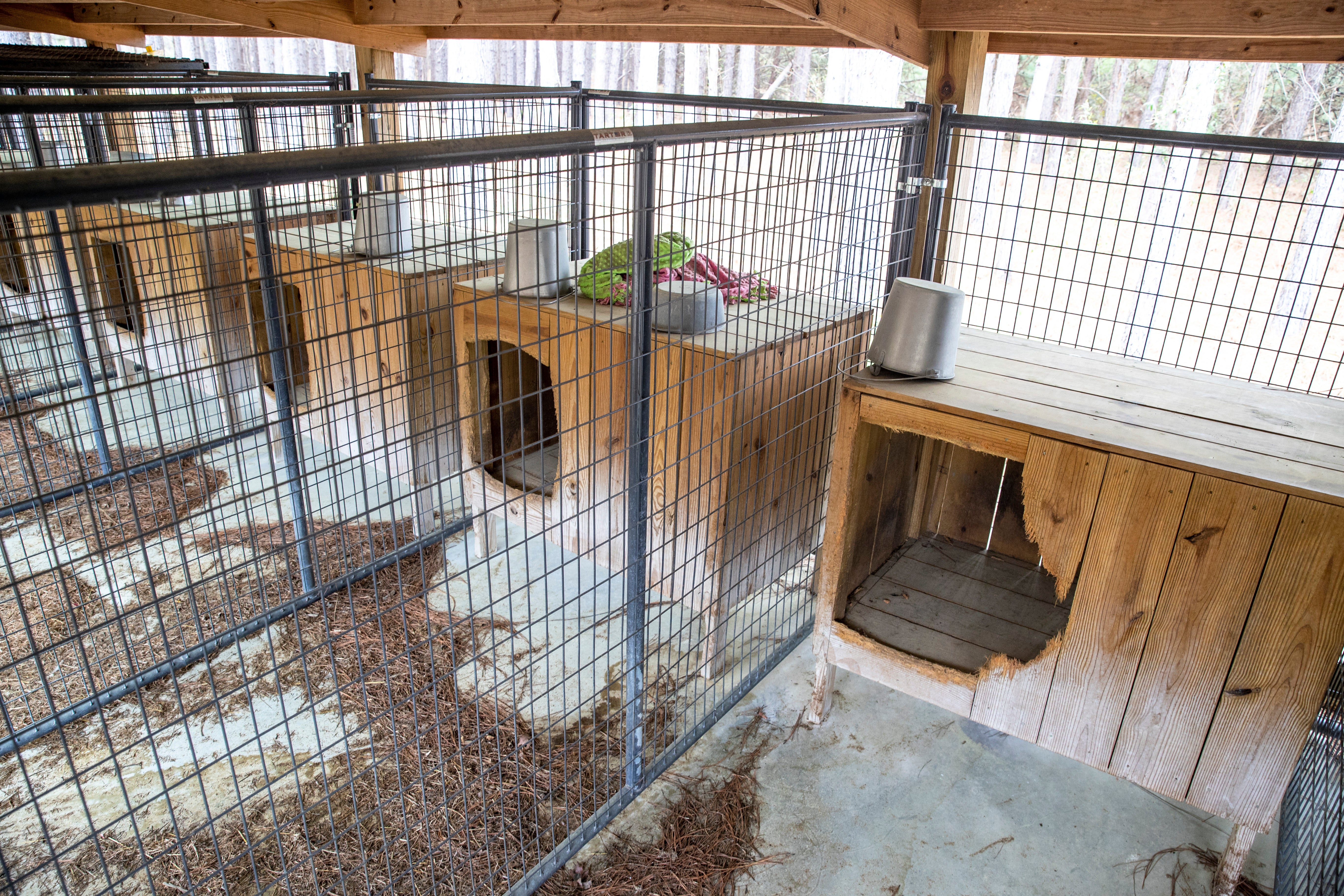 The dog kennels on the Moselle property