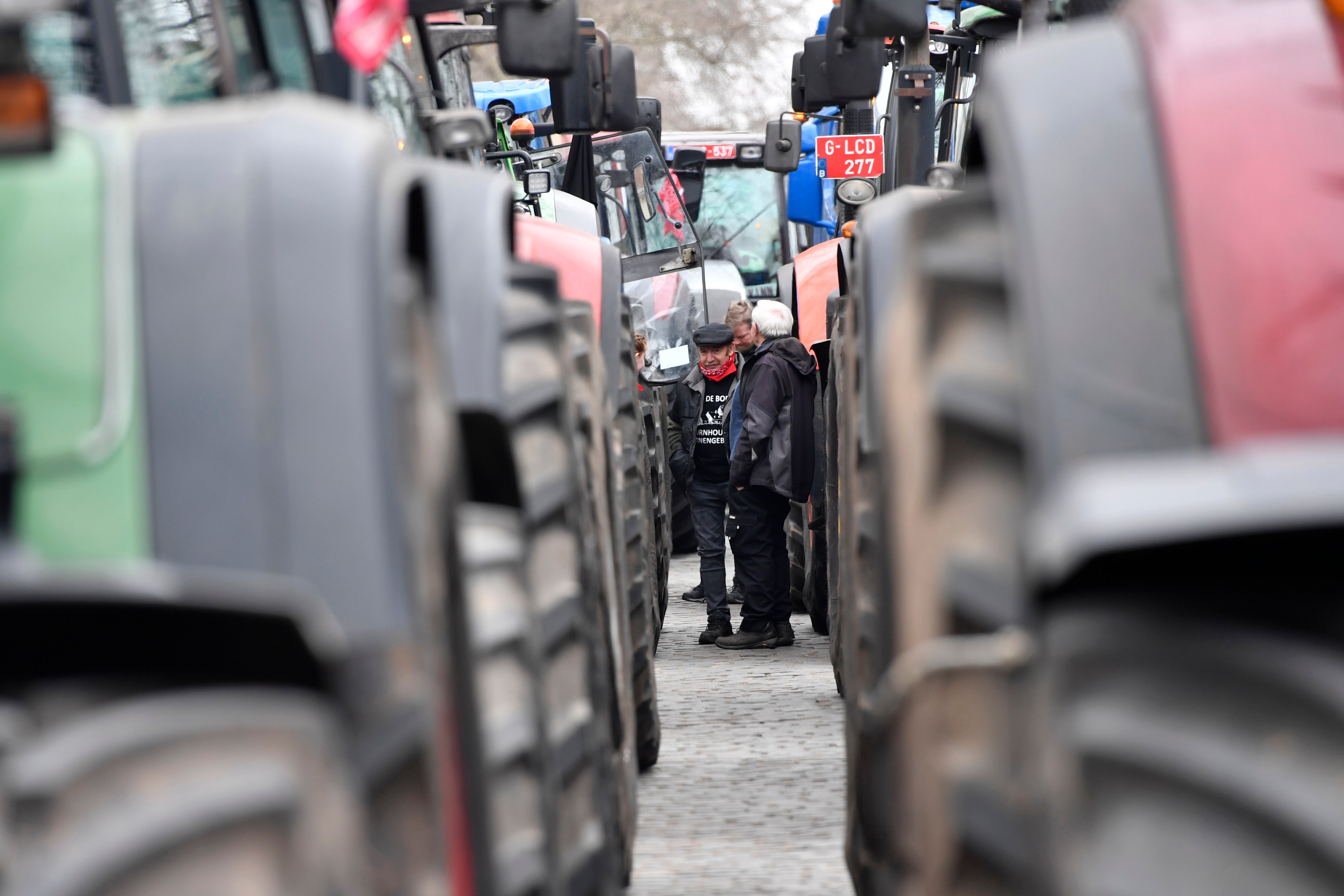 Belgium Farmers Protest