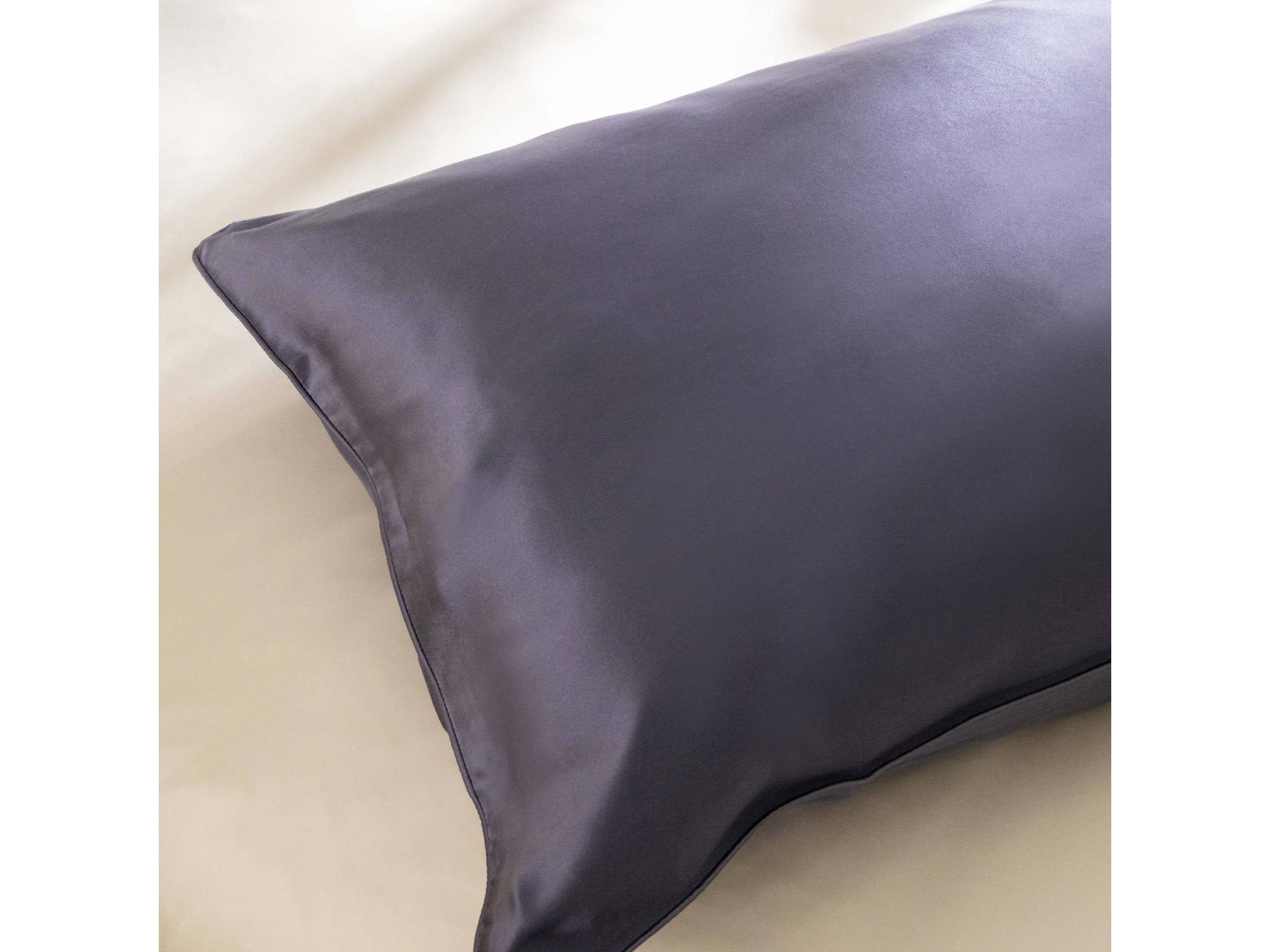 Soak and Sleep blue pure mulberry silk standard pillowcase pair