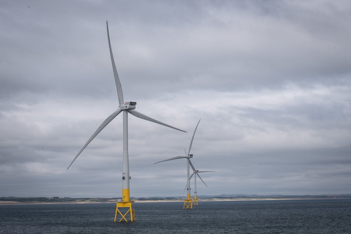 Scotland should have equity stake in new ScotWind round, says Yousaf