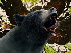 ‘Could he do a rail off a severed leg?’: Blood, fur, 12-year-olds on gear and the making of Cocaine Bear