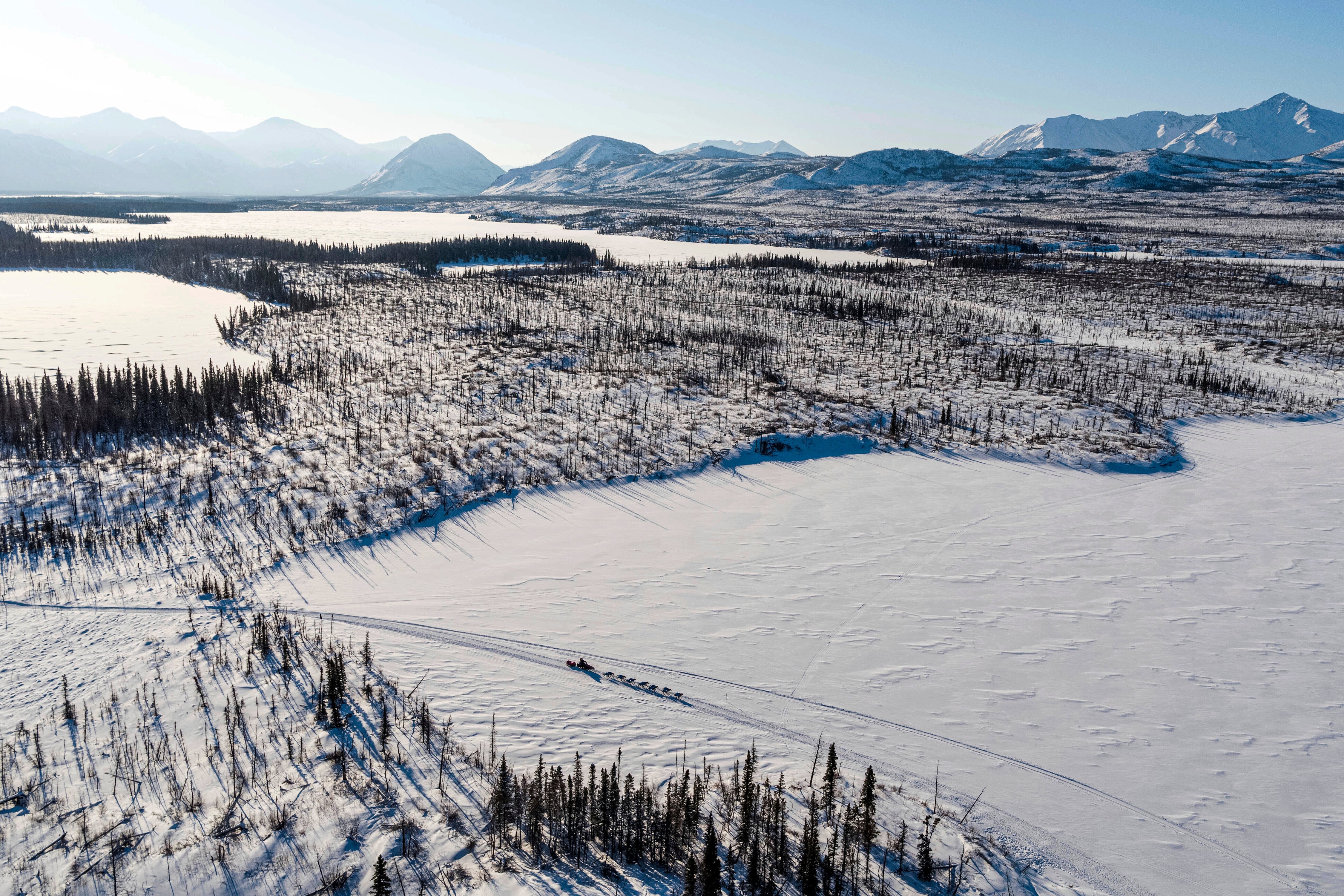 Iditarod Ceremonial Start