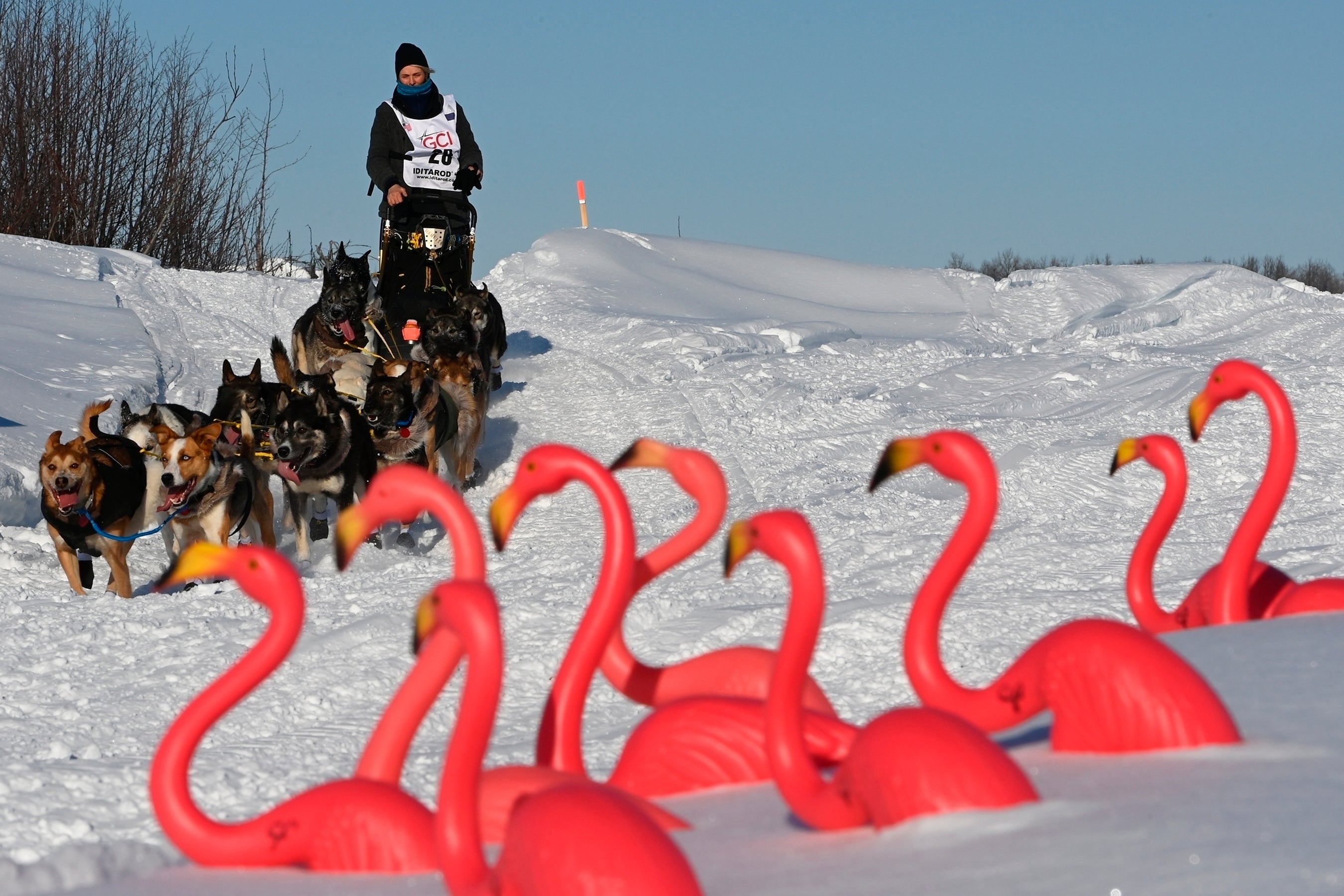 Iditarod Ceremonial Start