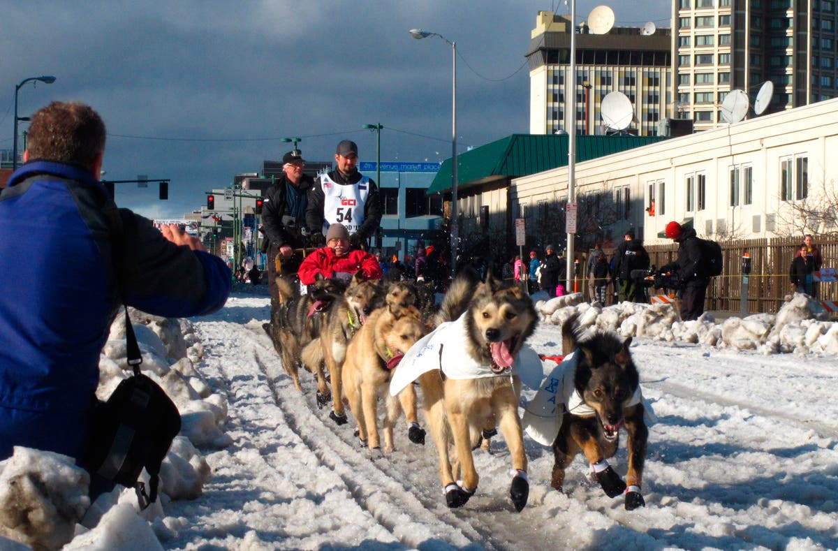 Alaska's arduous Iditarod kicks off with ceremonial start