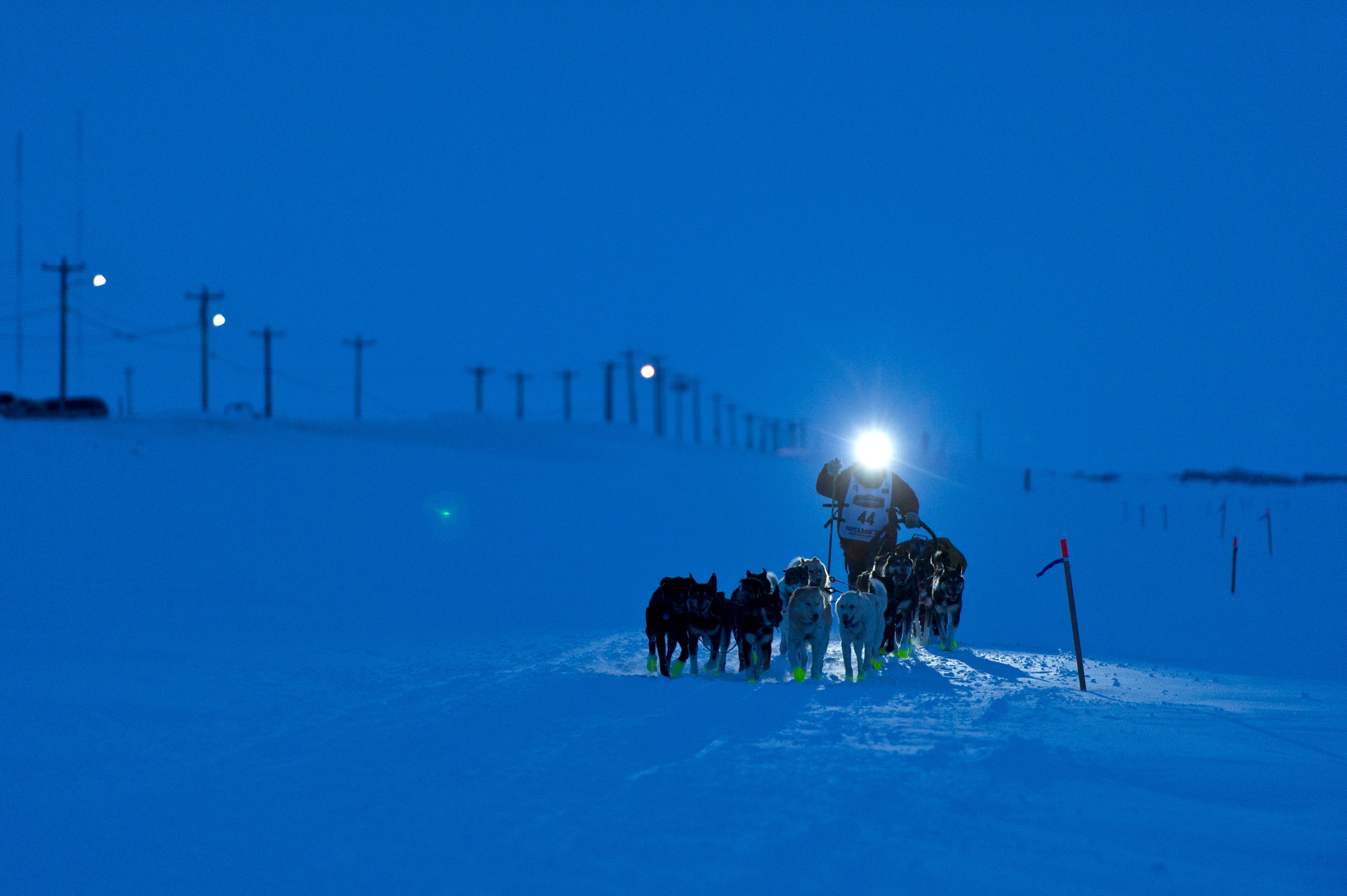 Iditarod Cermonial Start