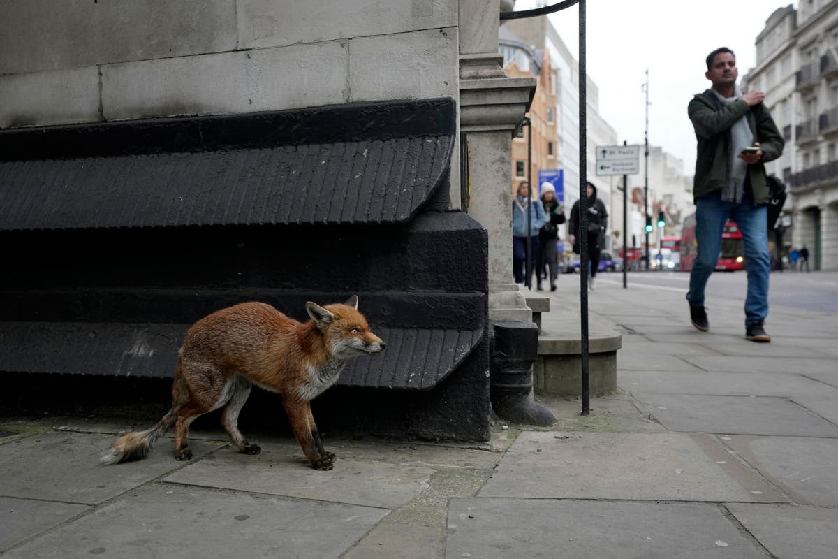 AP-Week in Pictures: Global / Feb. 25- March 3, 2023