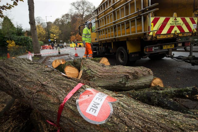 A sign on tree cut down by contractors in Rustlings Road, Sheffield, where three people protesting against a controversial tree felling programme have been arrested after council contractors started cutting down trees with chainsaws before dawn.