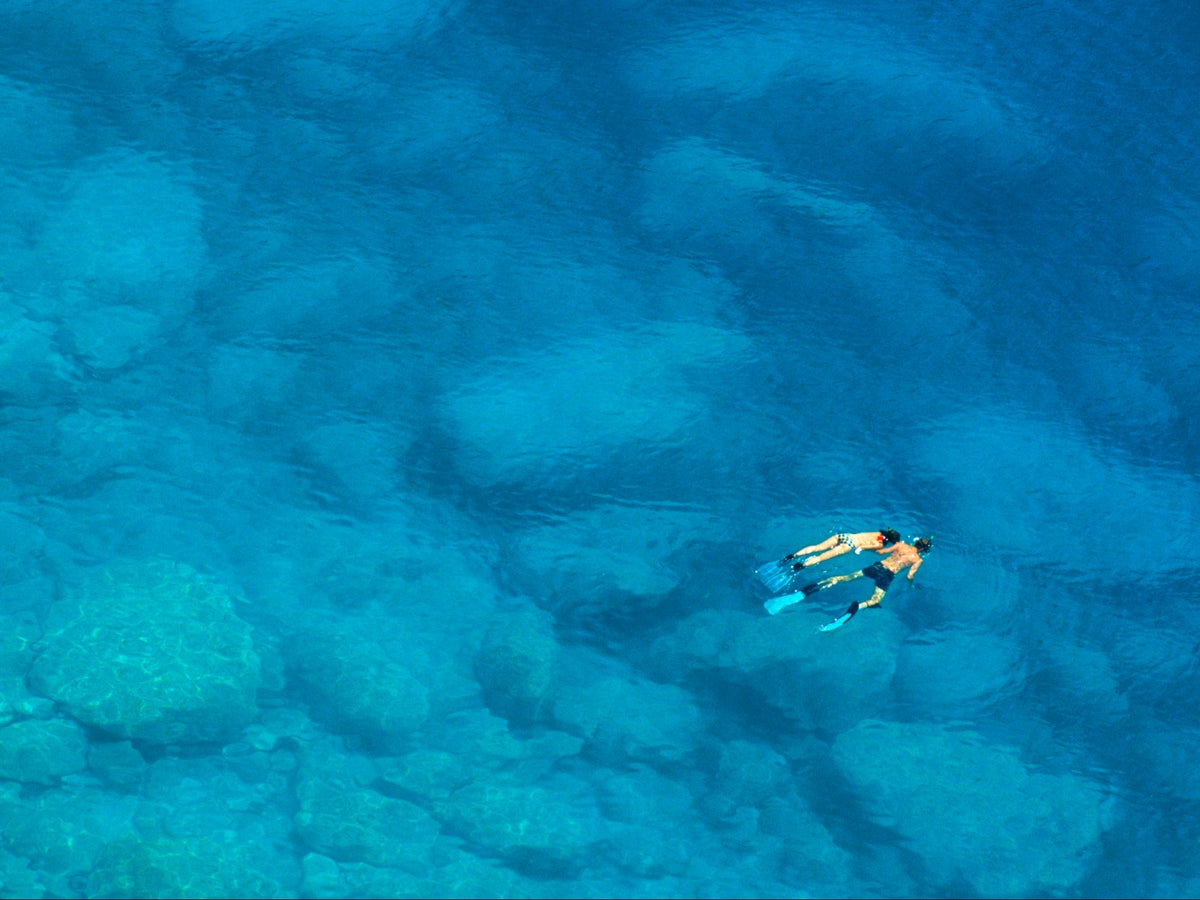 Couple on honeymoon sue tour company for abandoning them in the sea on a snorkelling trip