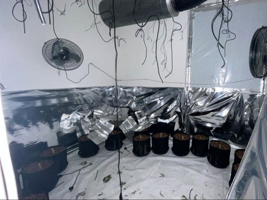 <p>The £275,500 listing shows images of what appear to be cannabis leaves on the floor and pots filled with soil </p>
