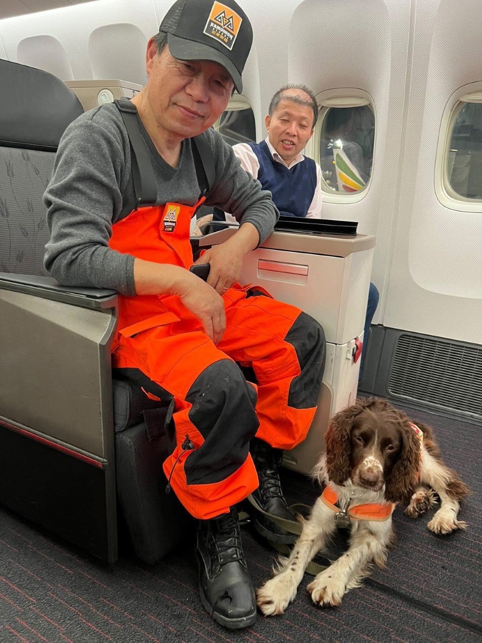 Rescue dogs from China on a Turkish Airlines flight
