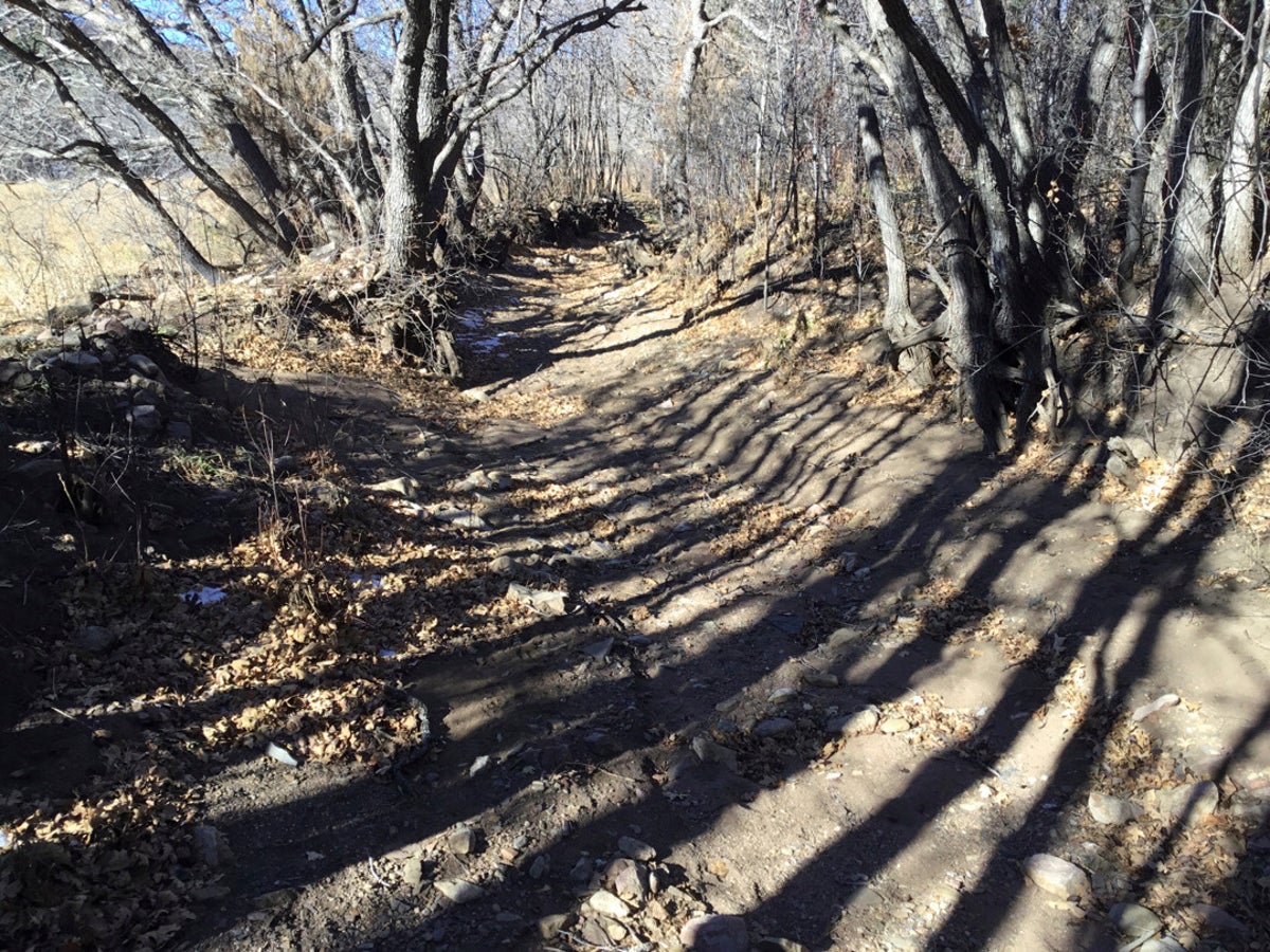 Work begins to clear water canals following New Mexico fire