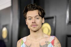 Harry Styles fans go crazy after he posts – then deletes – mirror selfie wearing One Direction shirt