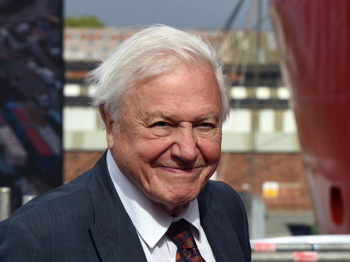 David Attenborough TV show producers feared he could catch bird flu and die on set