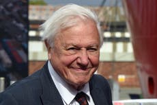 David Attenborough TV show producers feared presenter could catch bird flu and die during filming