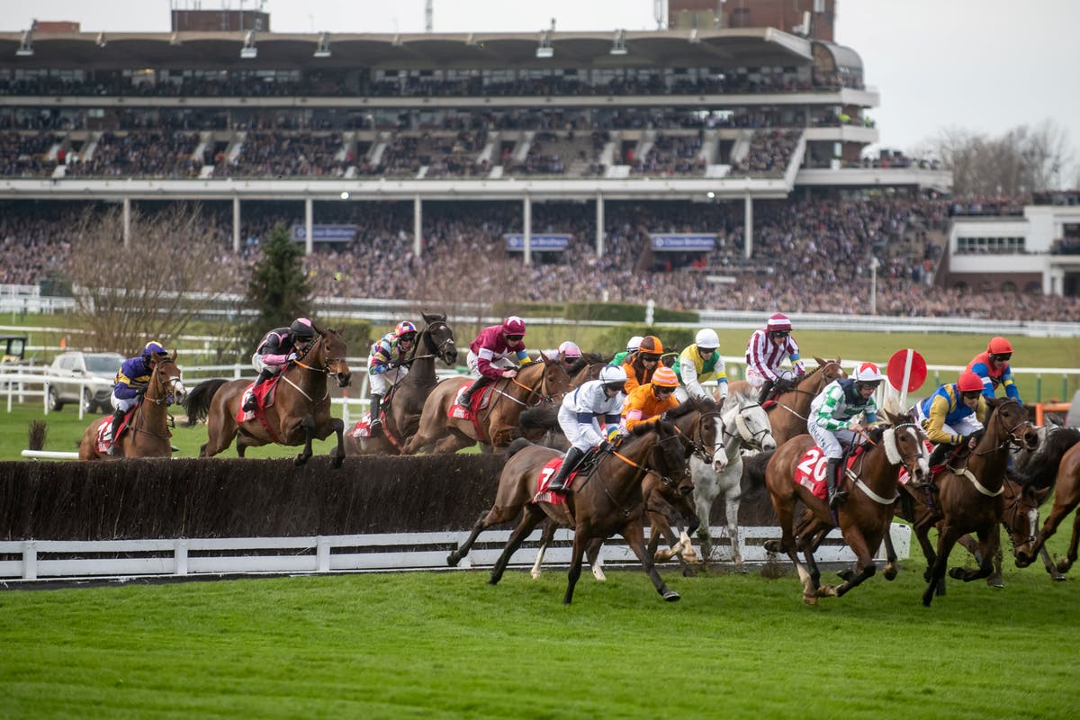 Cheltenham Festival 2023: There’s something you should know