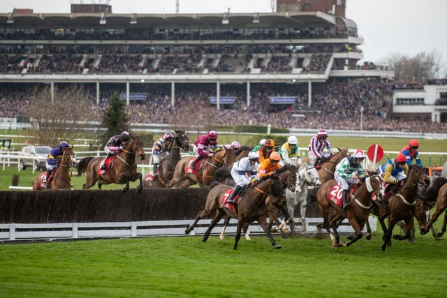 <p>Cheltenham is particularly deadly for horses </p>