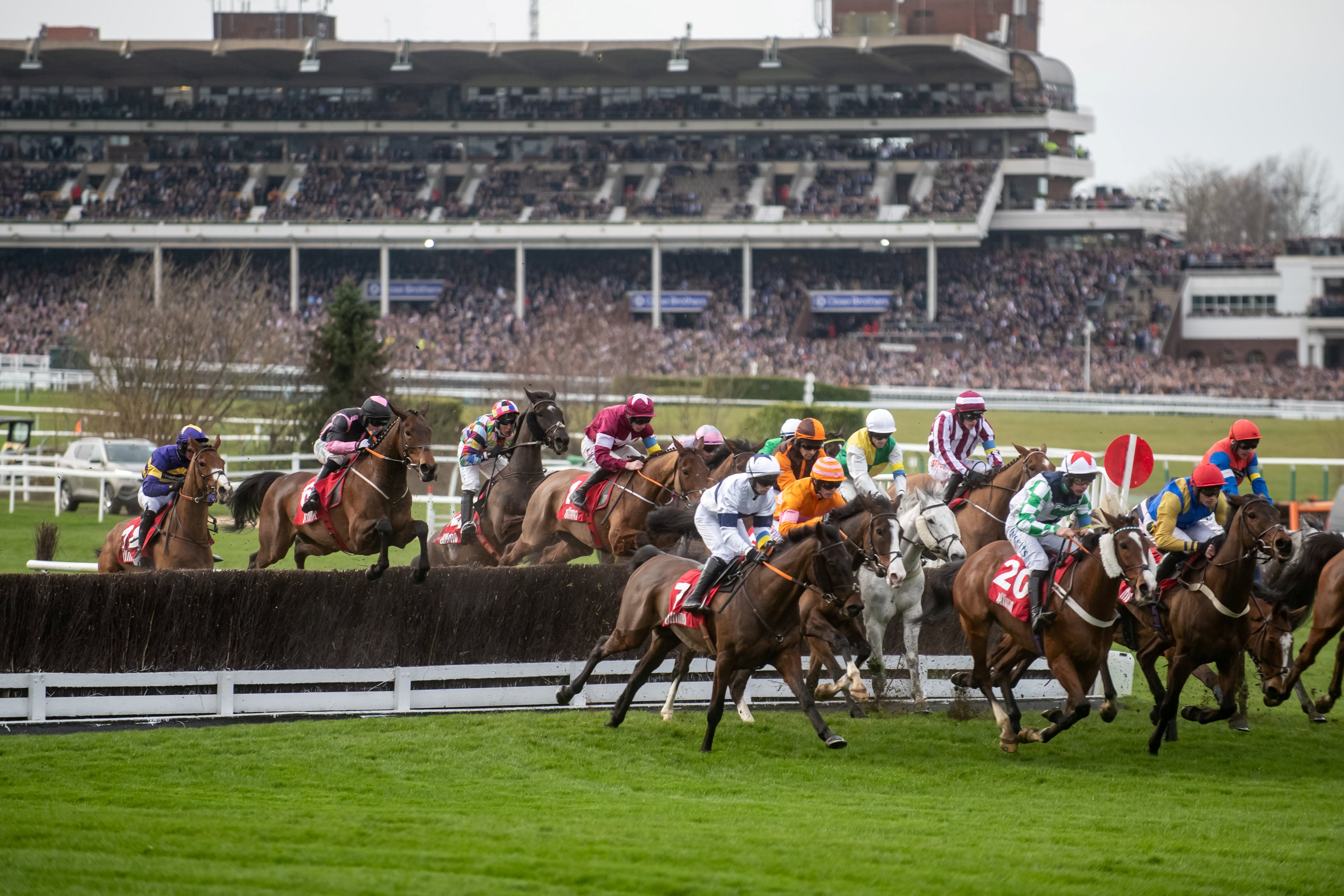Equestrian Experts At Grand National Admit They Don t Normally Follow Equestrian Experts At Grand National Admit They Don t Normally Follow