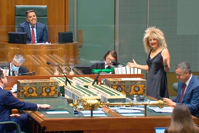 The deputy leader of Australia’s Liberal Party turned heads and raised money in parliament by attending dressed as musical icon Tina Turner (Parlview/PA)