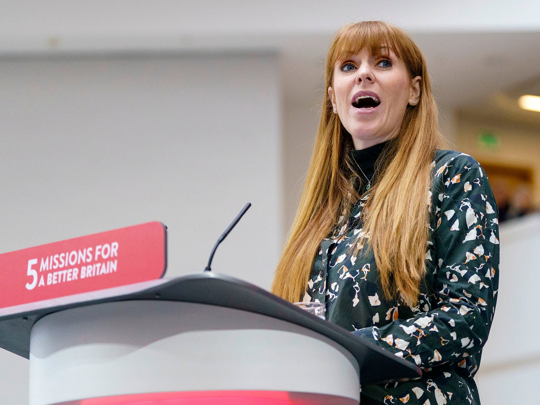 Angela Rayner called for list of ministers’ interests before local elections