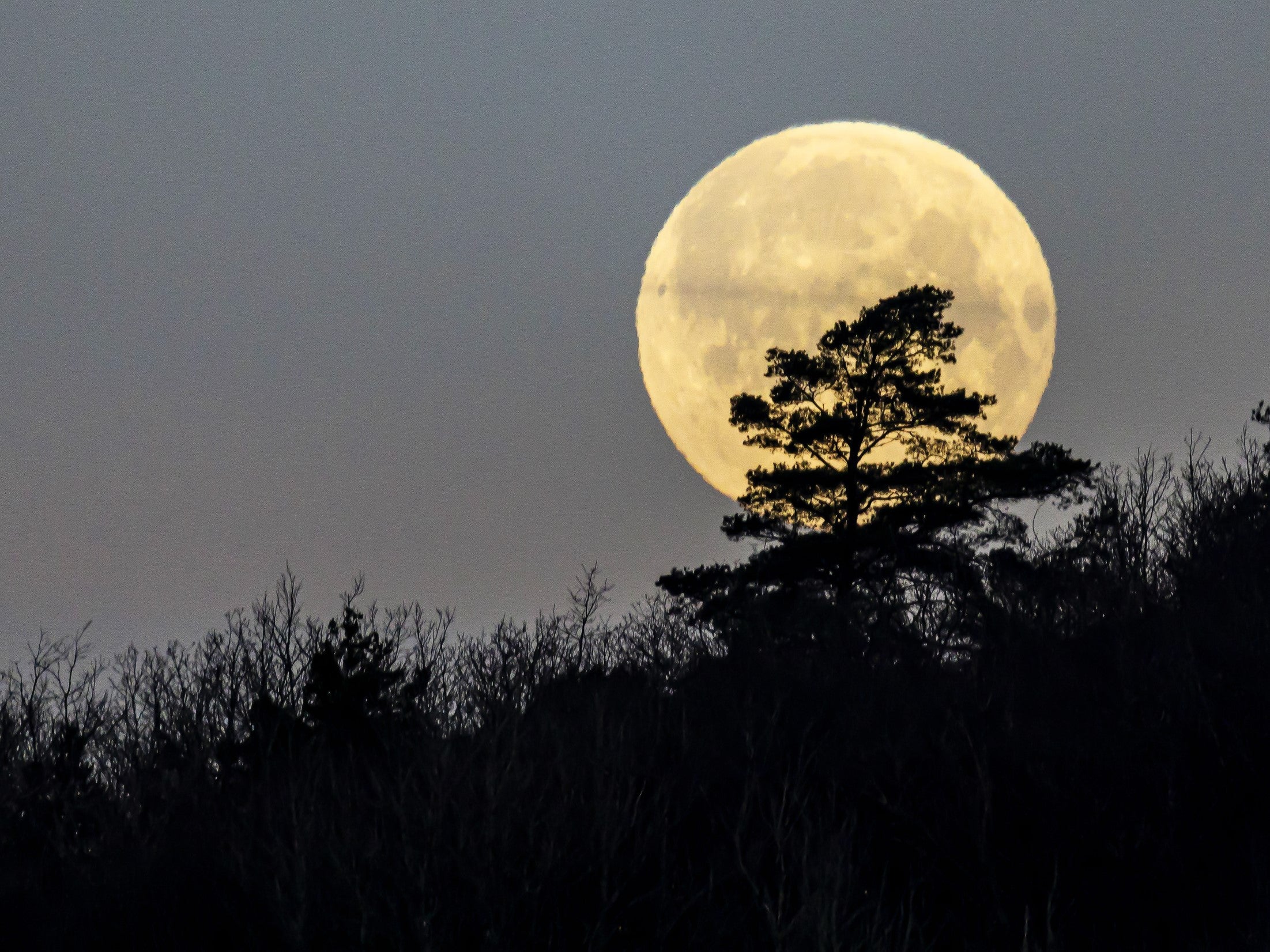 The Full Worm Moon in March peaks on Tuesday, 7 March, 2023