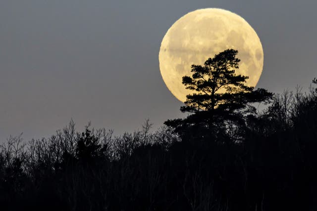 La Luna Llena de Gusano en marzo alcanza su punto máximo el martes 7 de marzo de 2023