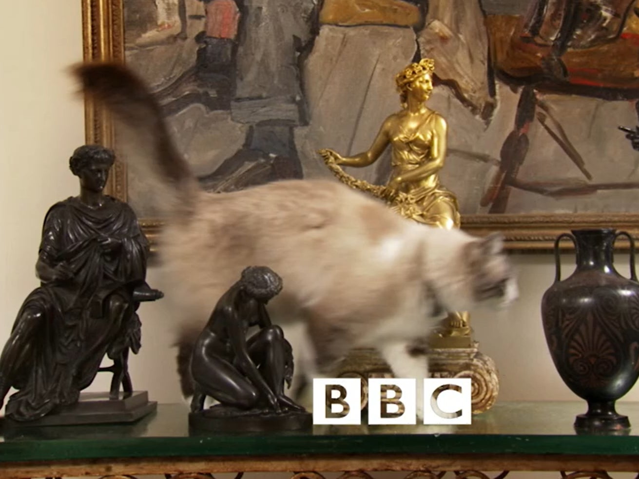 Minou the cat, as seen in the opening credits for ‘Antiques Roadshow'