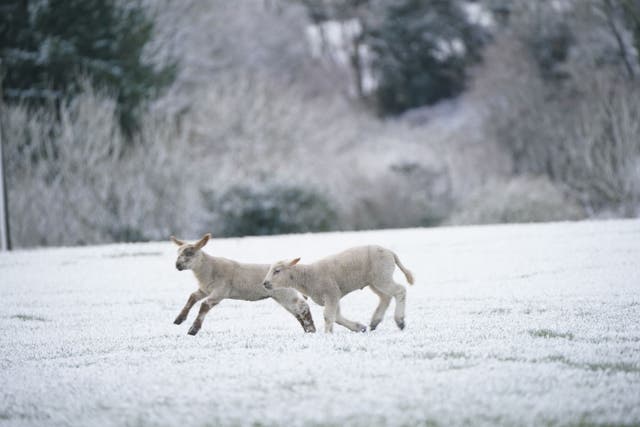 Snow, ice and low temperatures are the main themes of this week’s forecast, the Met Office said (Niall Carson/PA)