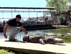 Alligator ‘stolen from zoo 20 years ago’ found in person’s garden