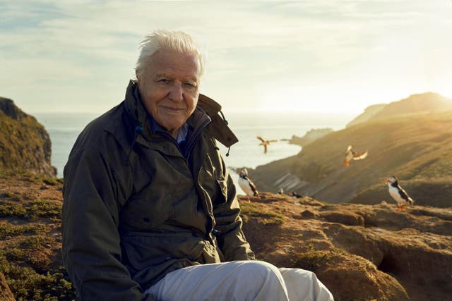 David Attenborough (BBC/Silverback Films/Alex Board/PA)
