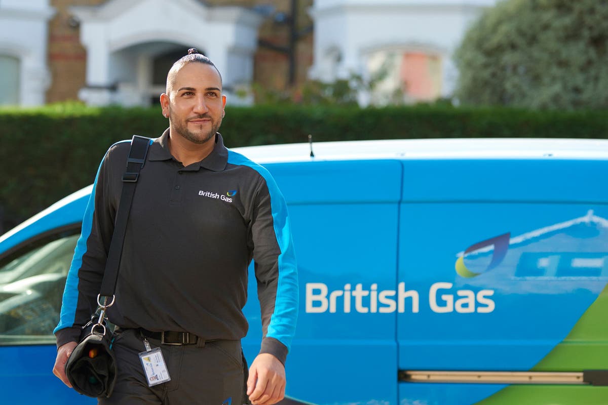 British Gas ramps up solar panel and home checks plans