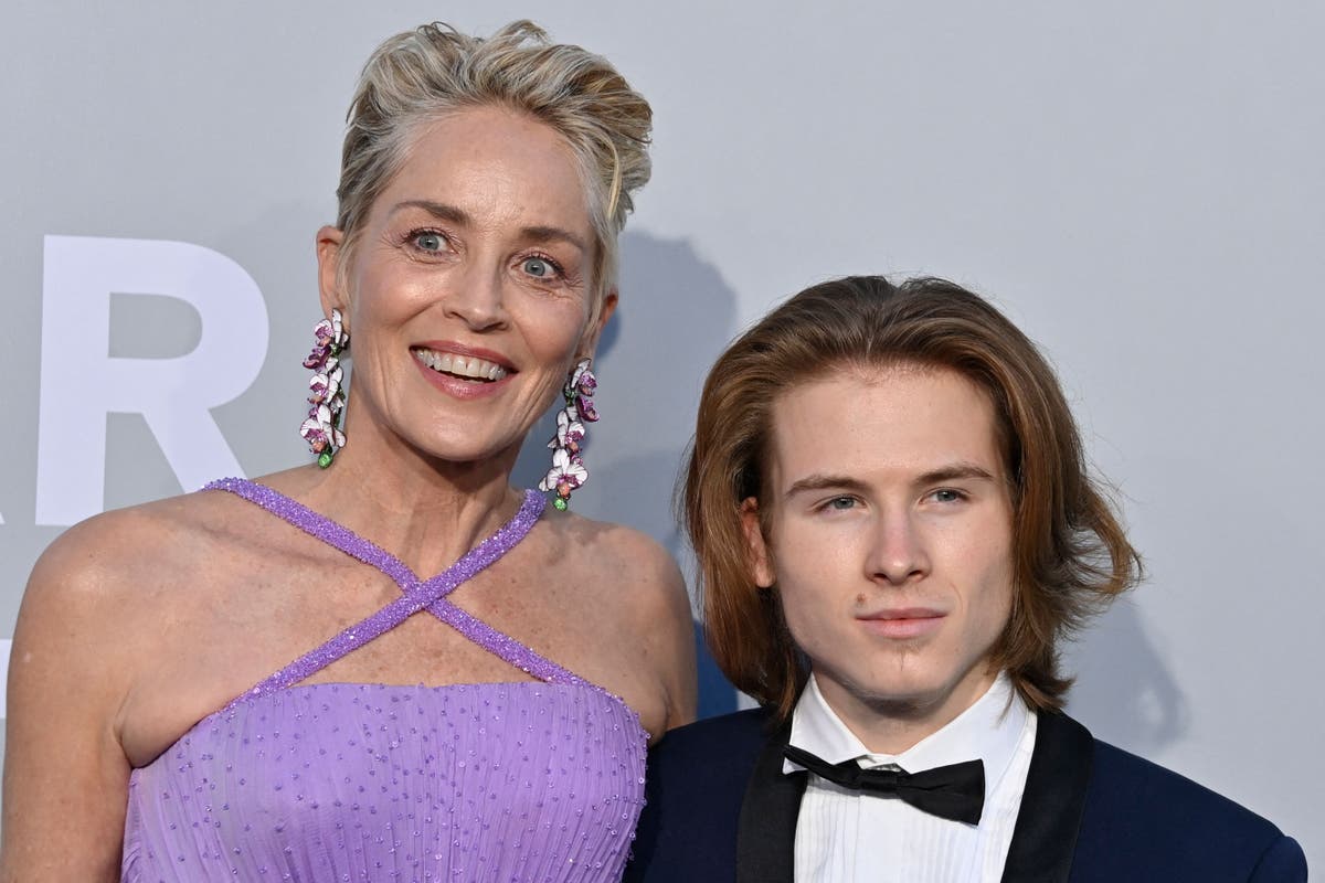 Sharon Stone says she lost custody of her son because of Basic Instinct role