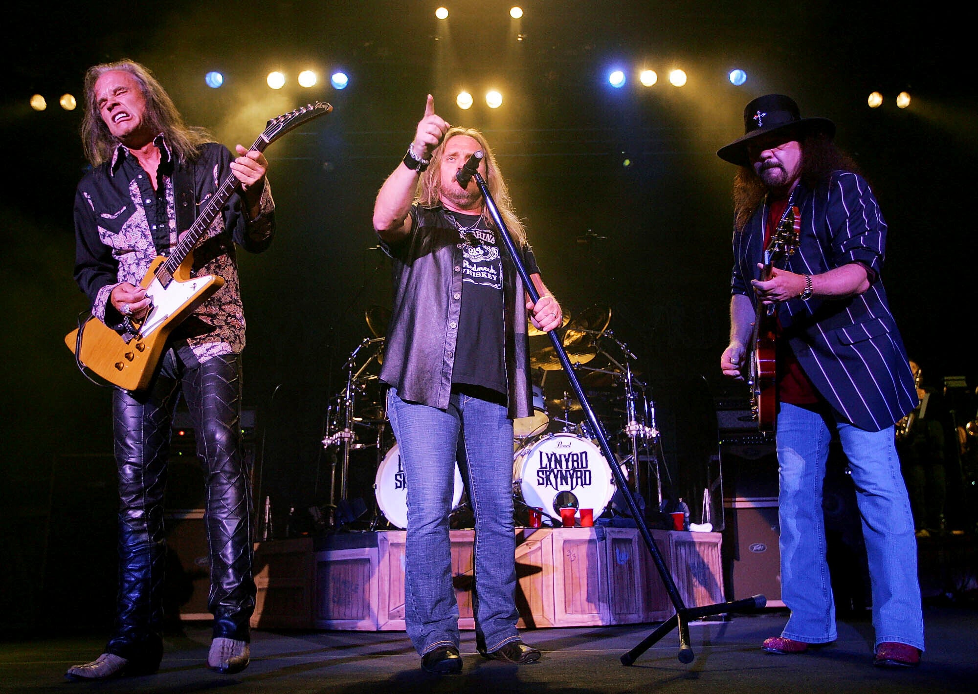 Lynyrd Skynyrd-Southern Culture