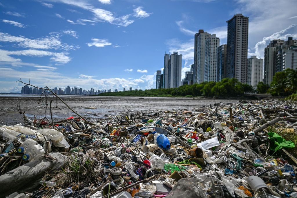 <p>Plastic waste and garbage is seen at the beach in Costa del Este, Panama City, on September 21, 2022</p>