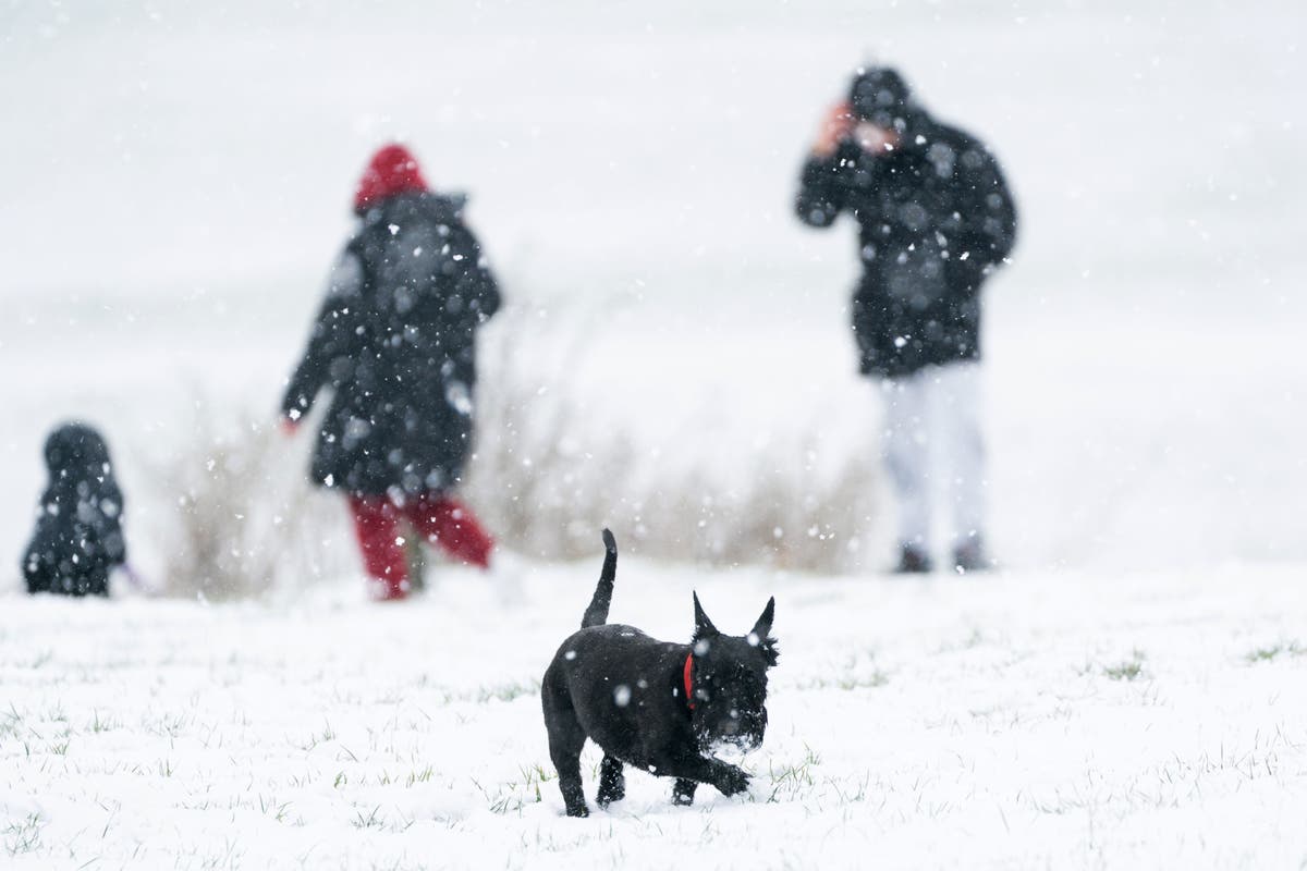 Snow forecast today: Met Office gives snow update as temperatures plummet