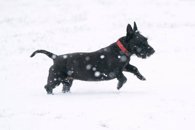 Weather warnings of snow are in place (Joe Giddens/PA)