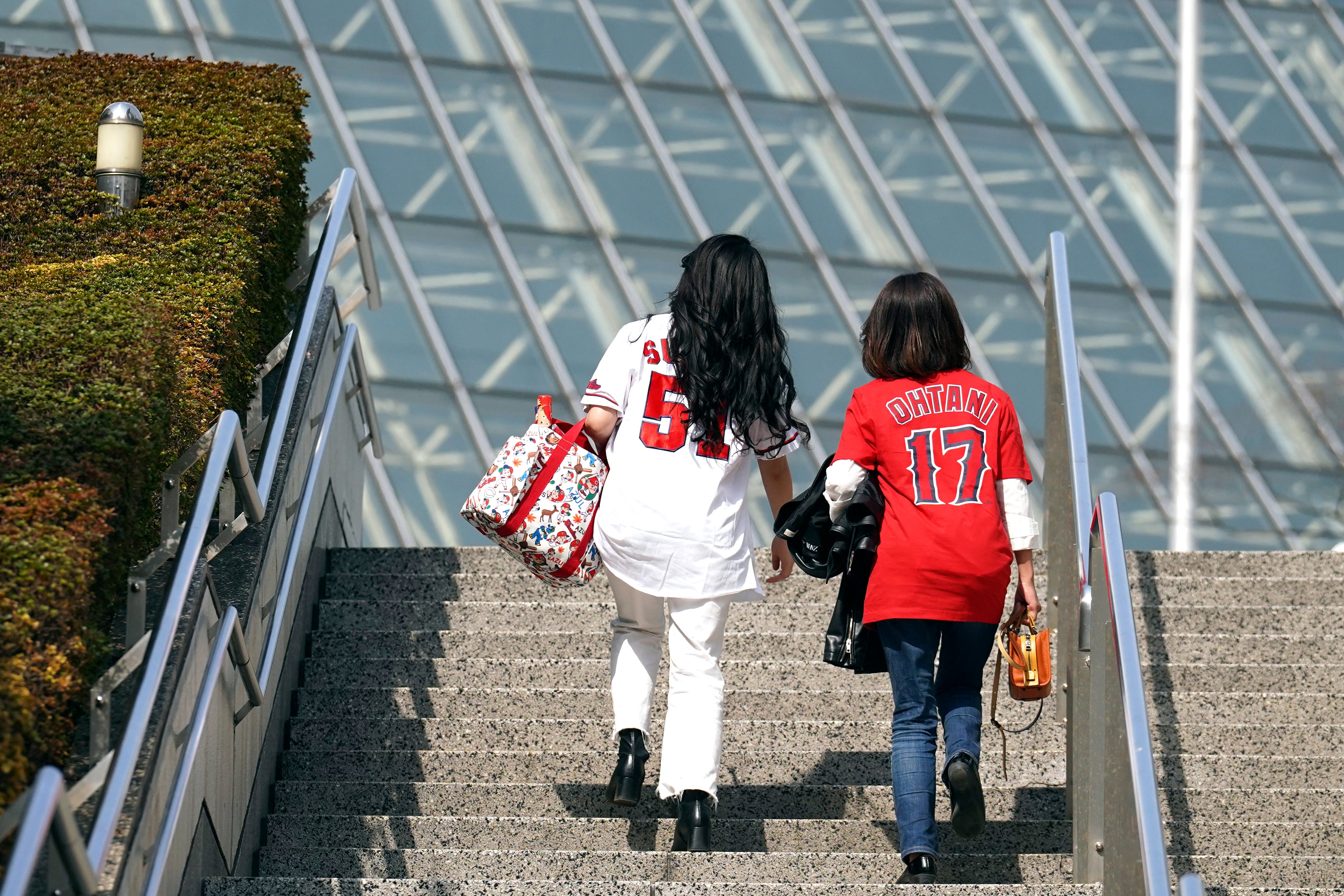 WBC Baseball Ohtani Reigns