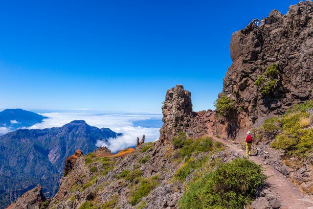 <p>La Palma, the fifth-largest of the Canary Islands, is a popular destination for cruise-goers </p>