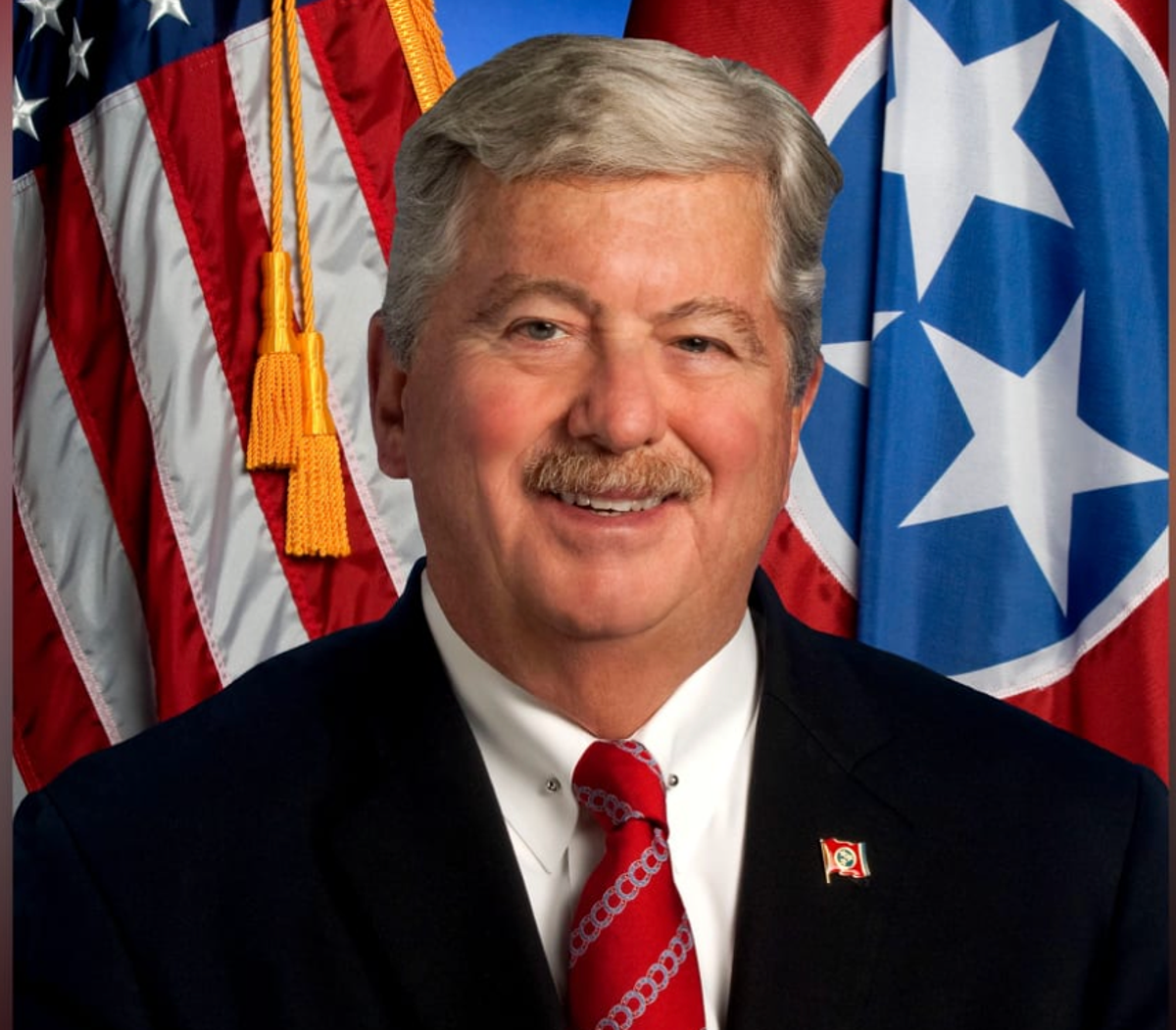 Tennessee lieutenant governor retires from social media after liking spicy gay photos