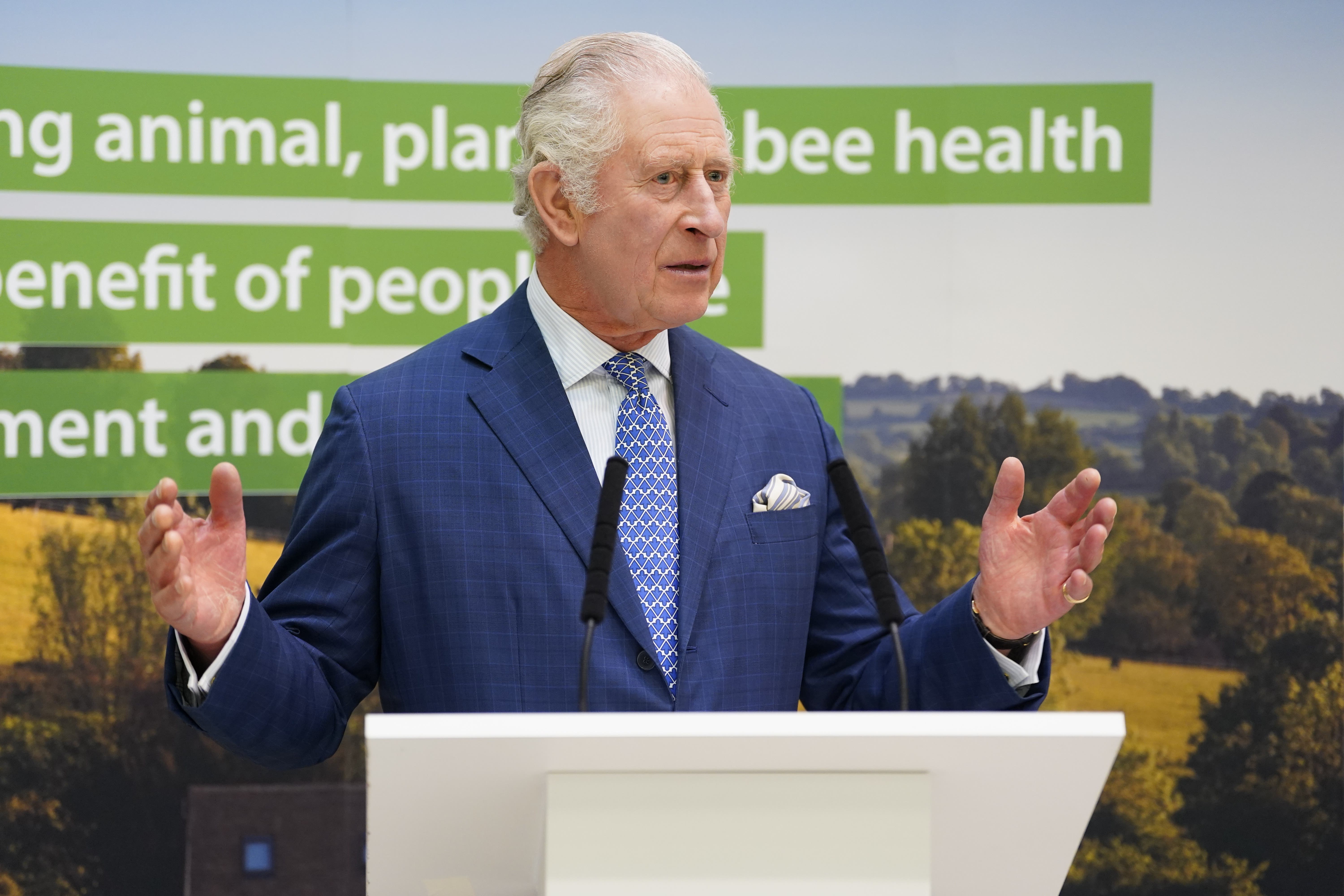 The King speaking during a visit to the Animal and Plant Health Agency in Addlestone (Andrew Matthews/PA)