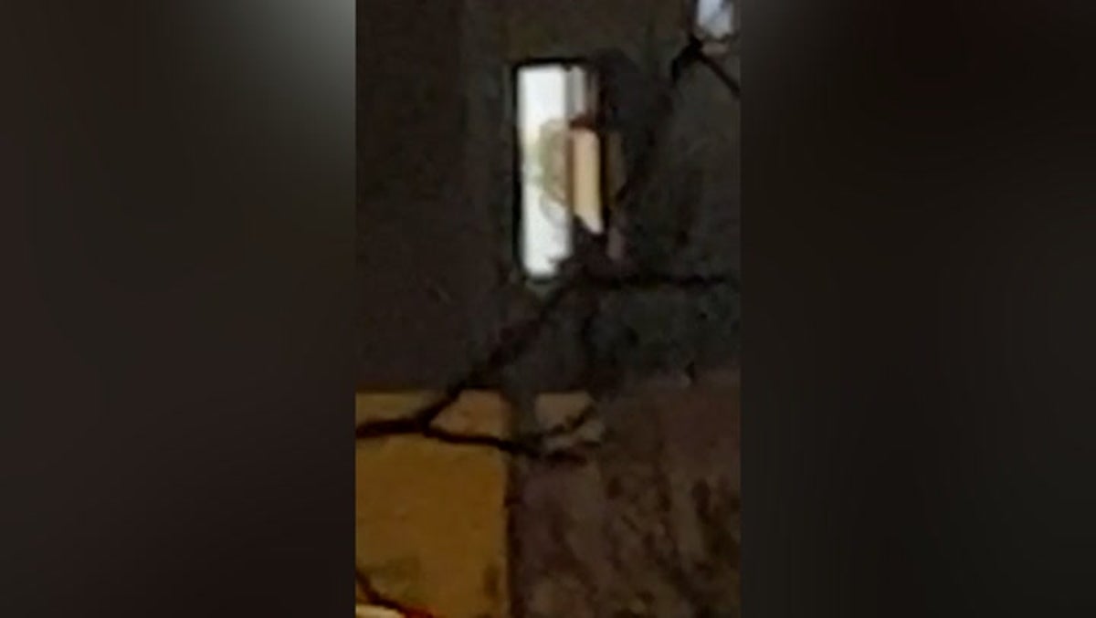 Video appears to show gunman firing weapon during Hamburg shooting