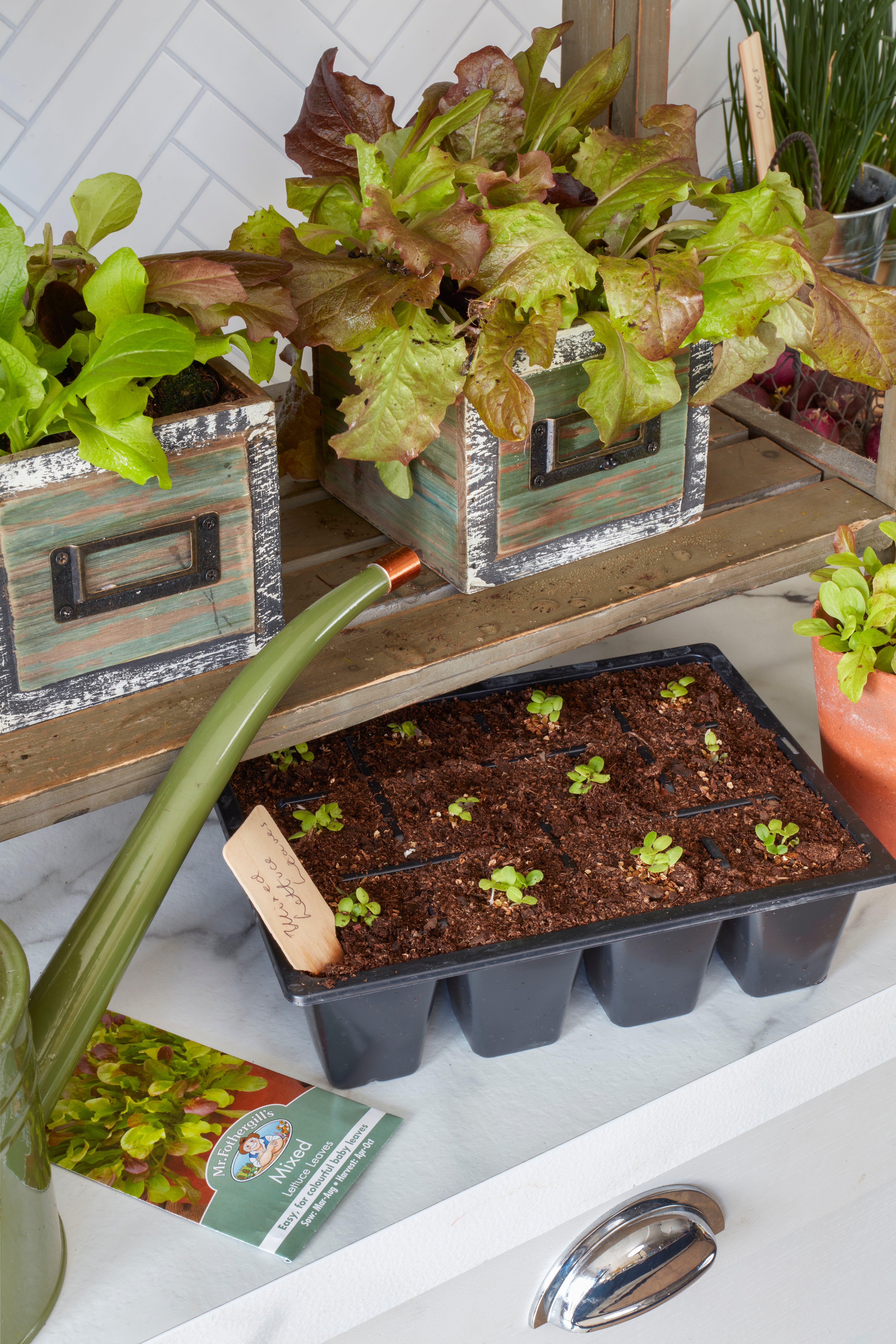 “Gardening and growing your own from seed can be super rewarding and great for your wellbeing”