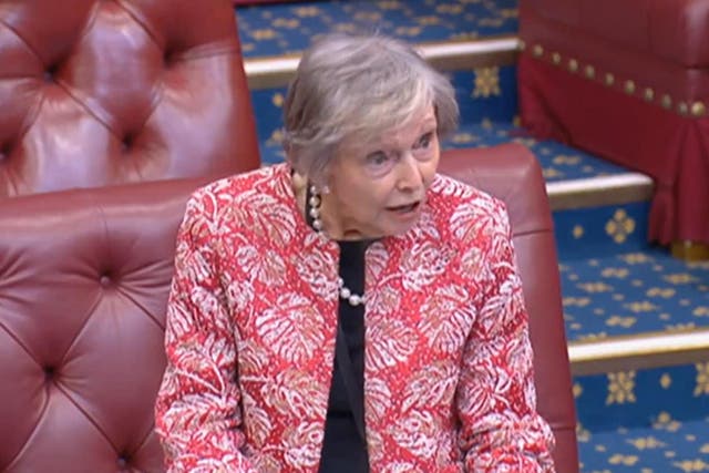 Conservative peer Baroness Seccombe addresses the House of Lords (PA)