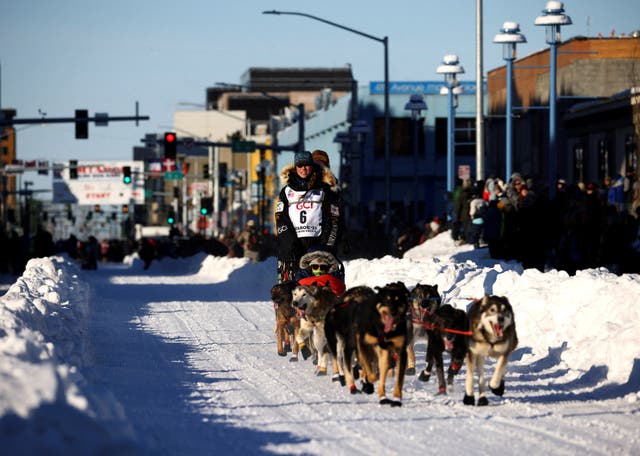 <p>Musher Kristy Berington during the ceremonial start of the 51st Iditarod Trail Sled Dog Race in Anchorage, Alaska on 4th March</p>