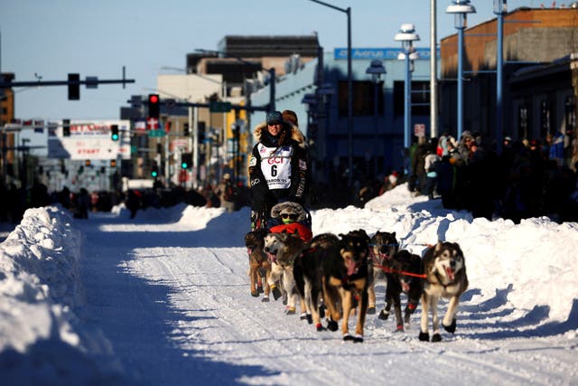 <p>Musher Kristy Berington during the ceremonial start of the 51st Iditarod Trail Sled Dog Race in Anchorage, Alaska on 4th March</p>