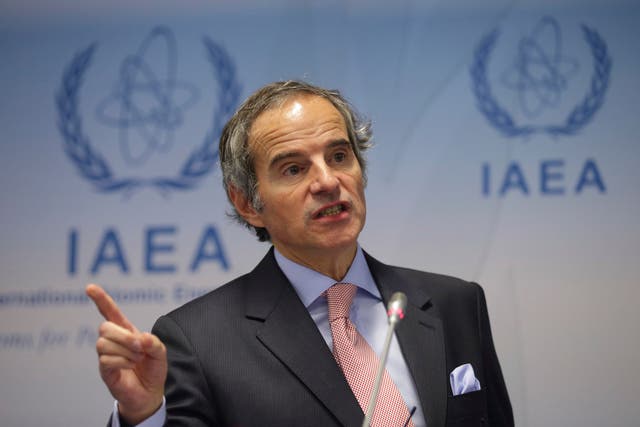 Austria United Nations Nuclear Chief