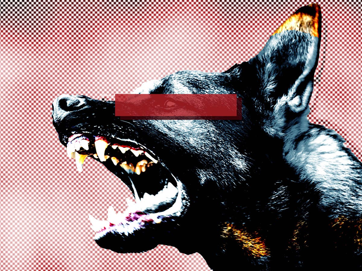 Seven warning signs of a dog attack everyone should know