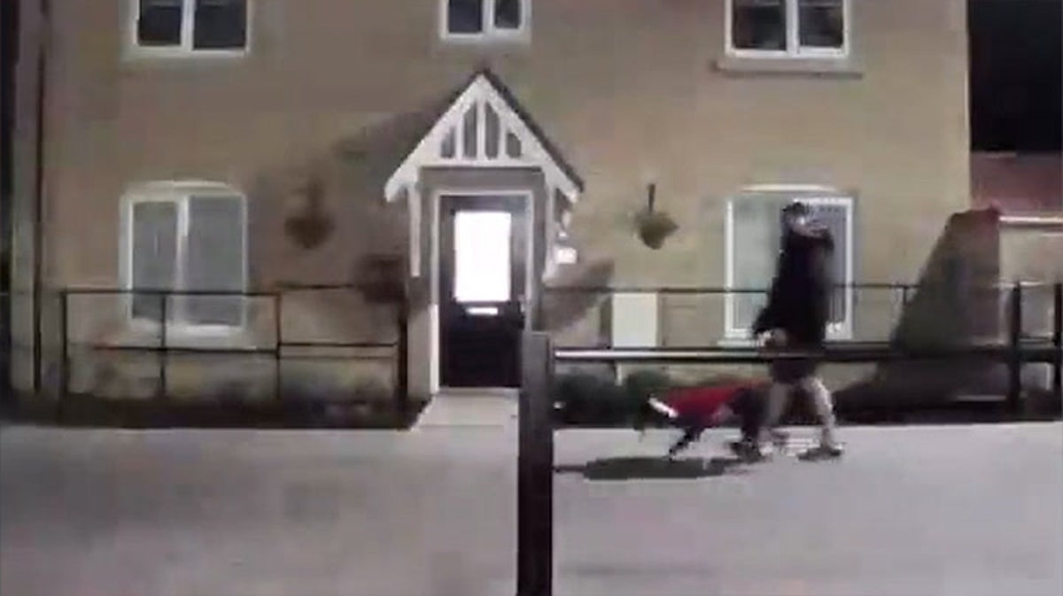 Doorbell camera catches man kicking dog in Suffolk